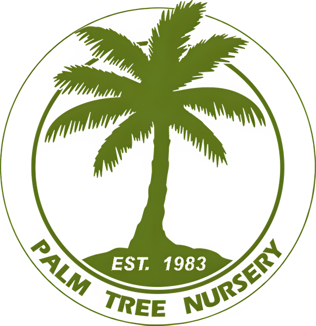 Tree Nursery | Naples, FL | 239-543-4806
